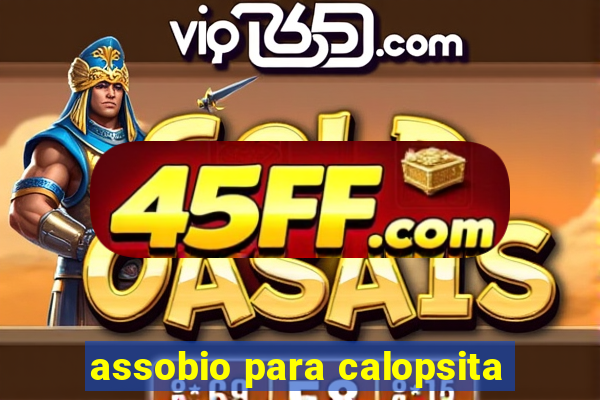 assobio para calopsita